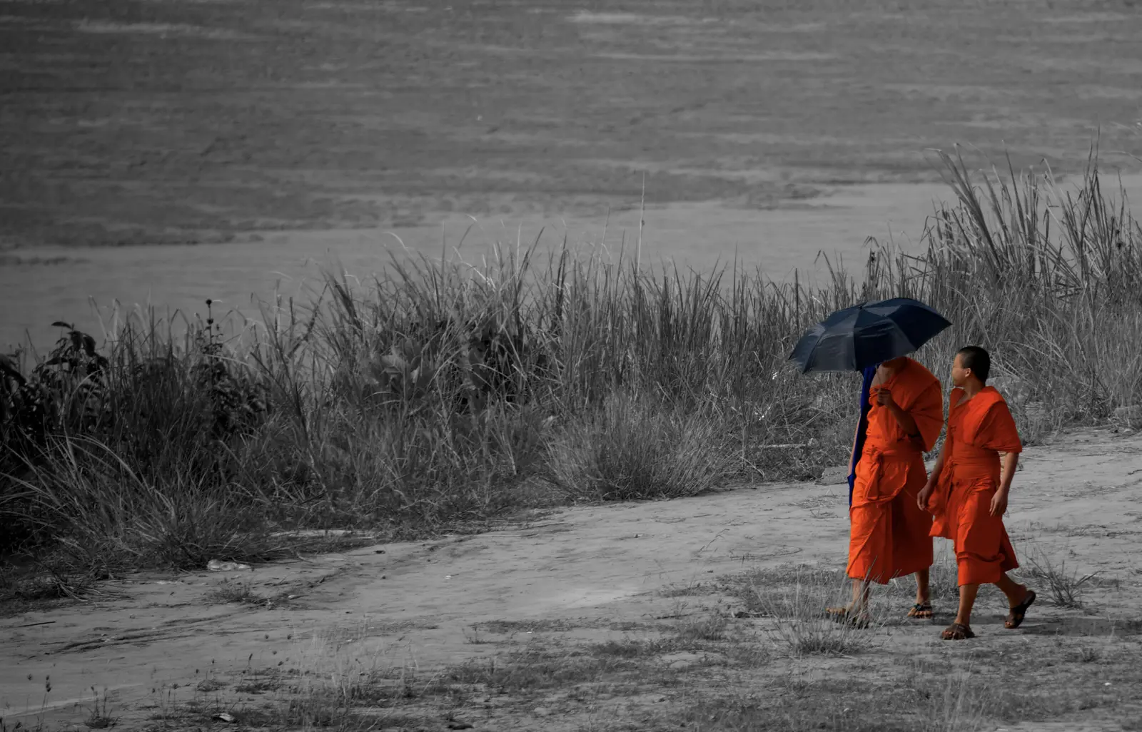 Two monks in orange robes walk under a blue umbrella beside a river, the scene around them in black and white.